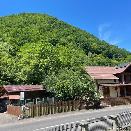 Pensiune casa transalpina Şugag Esterno foto