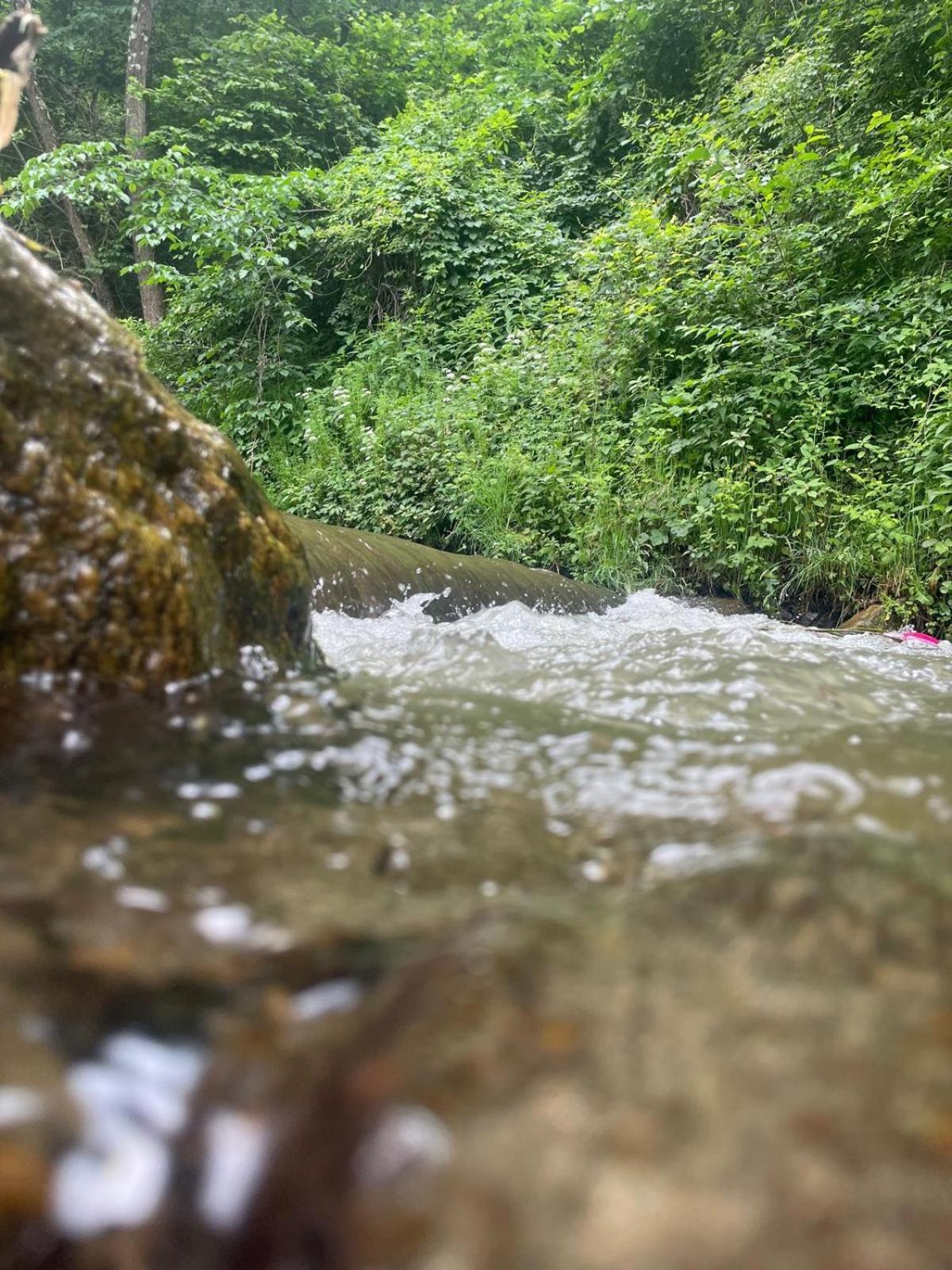 Pensiune casa transalpina Şugag Esterno foto