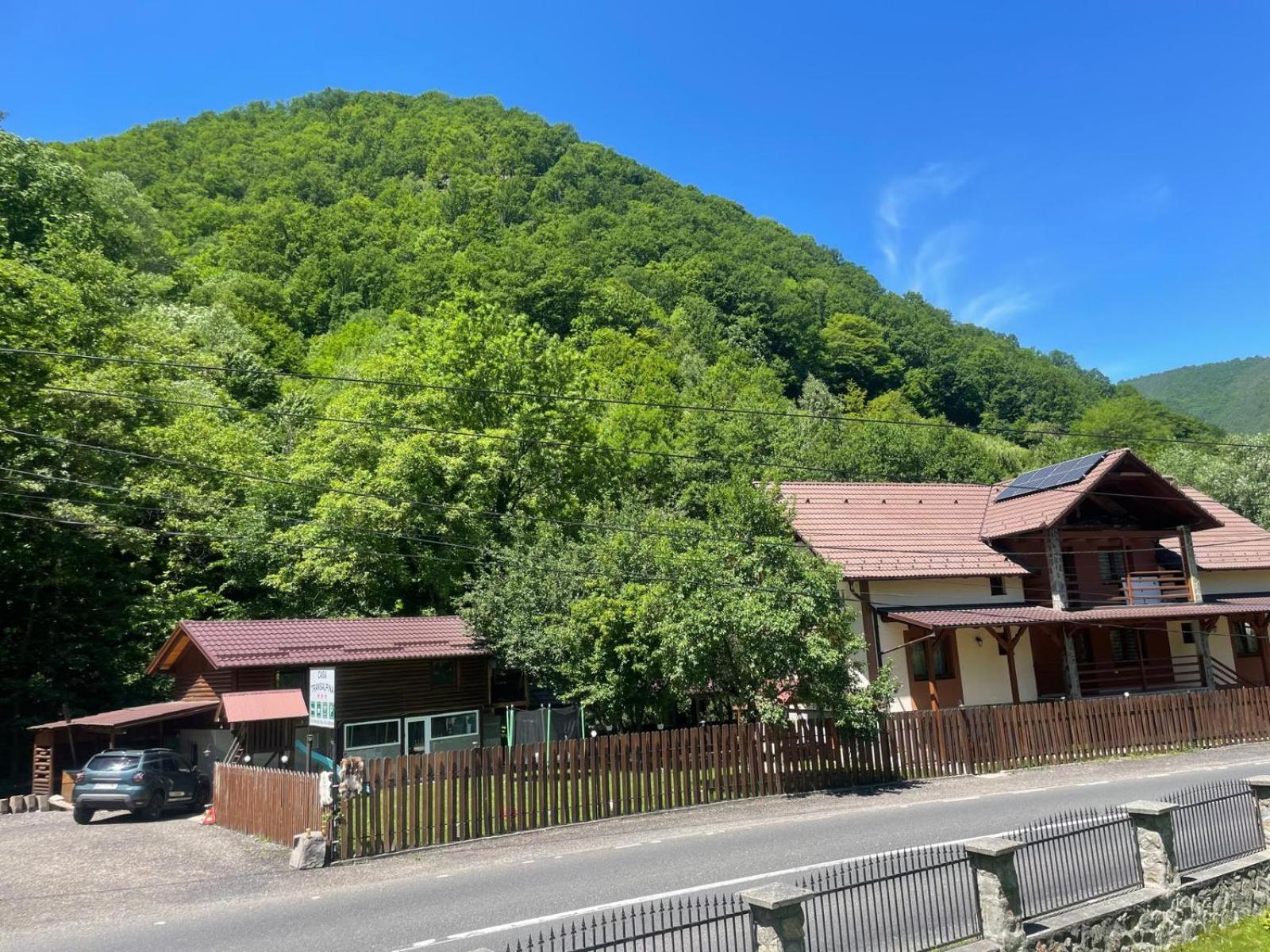 Pensiune casa transalpina Şugag Esterno foto